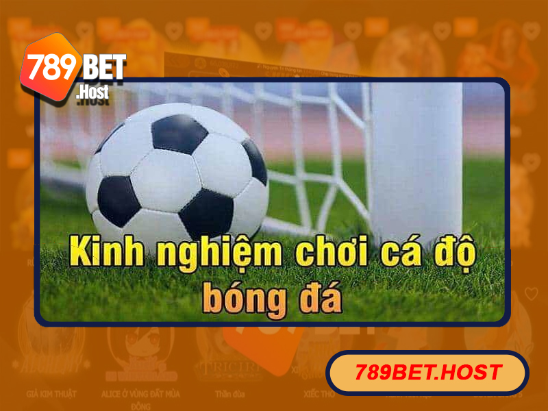 Bật mí kinh nghiệm chơi dành chiến thắng