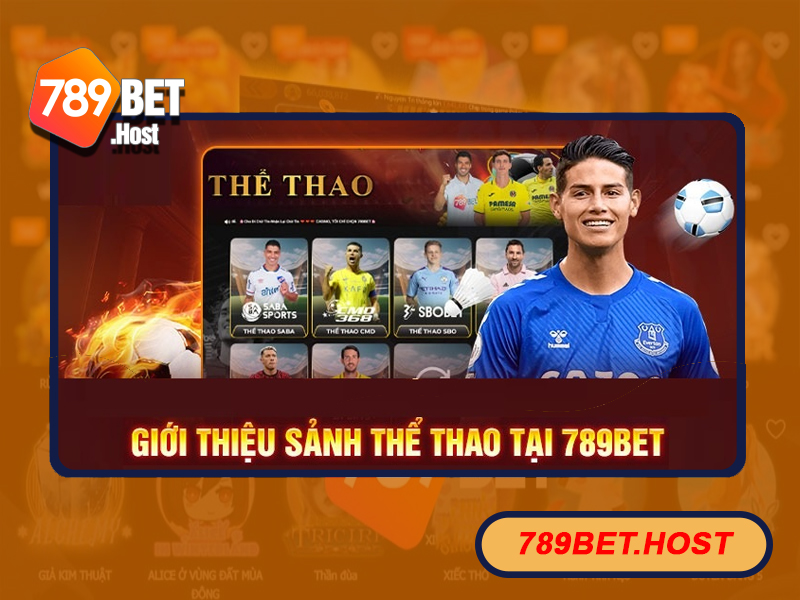 Đa dạng sảnh game thể thao tại 789Bet hấp dẫn